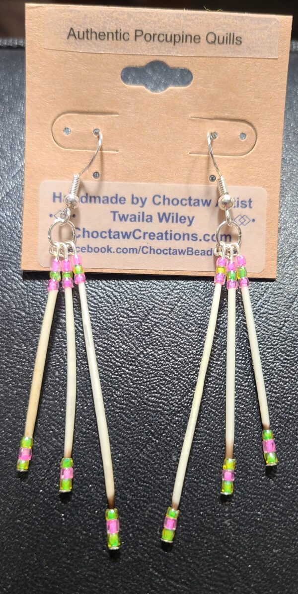 Pink & Green Porcupine Quill earrings