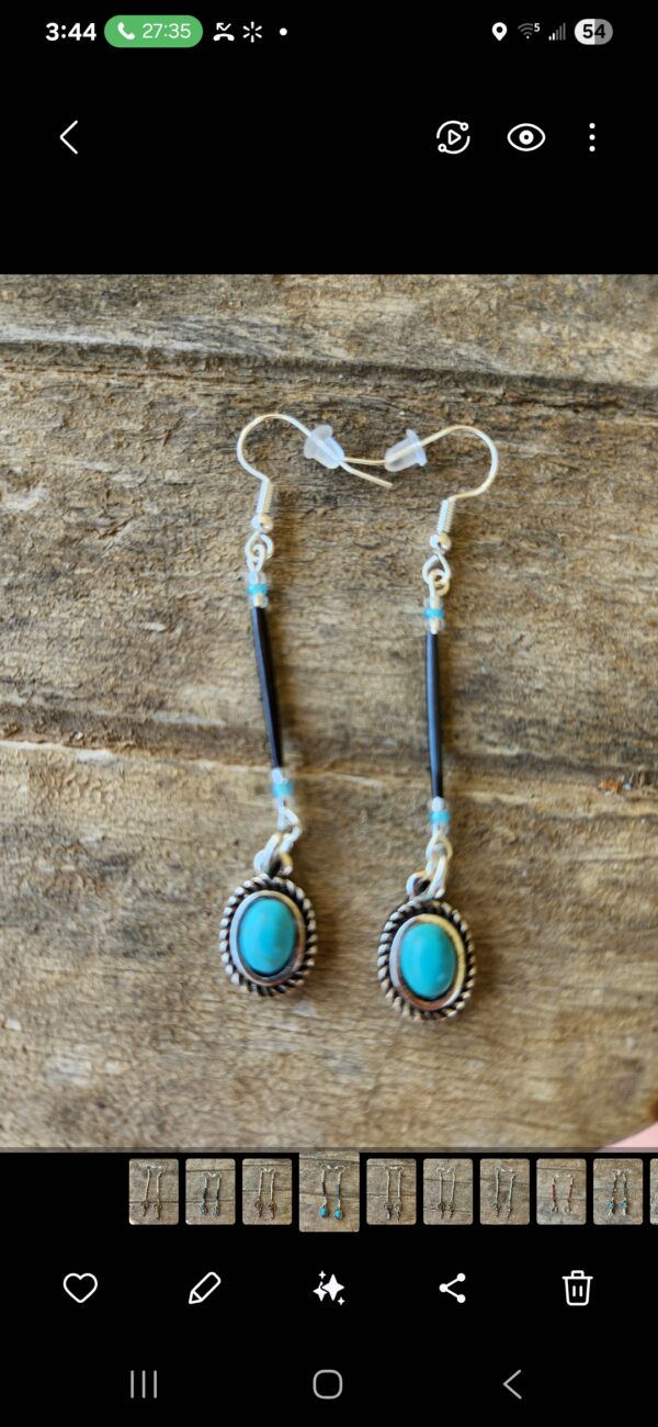 Dyed Black Porcupine Quill earrings with Pendant