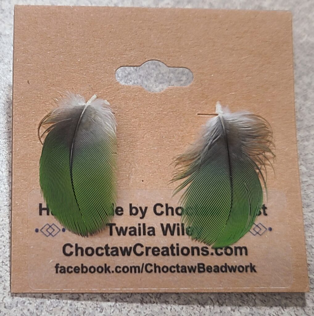 Jimmy the Parrot Feather Stud Earrings