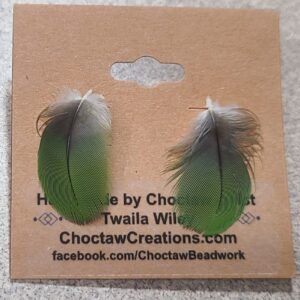 Jimmy the Parrot Feather Stud Earrings
