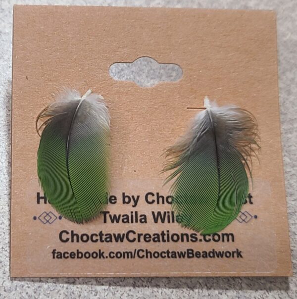 Jimmy the Parrot Feather Stud Earrings